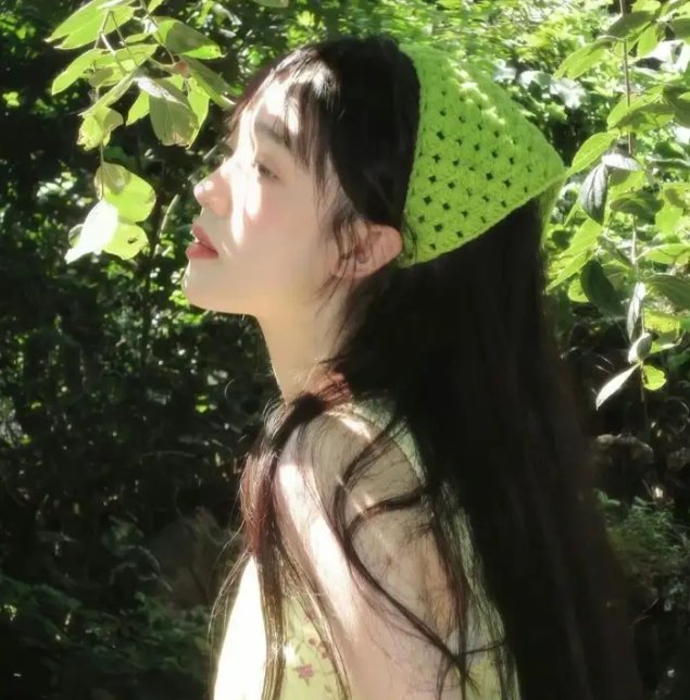 掌中雀