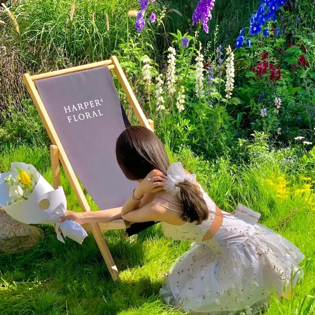 所罗门国王的宝藏